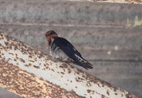 IMG_5405crop