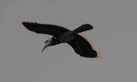 IMG_5587crop