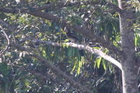 IMG_5970crop