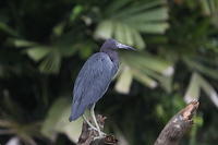IMG_9187