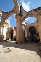 IMG_8498
