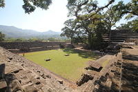 IMG_8608