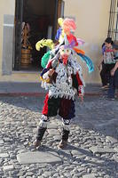 IMG_8522
