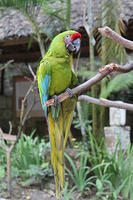 IMG_8677