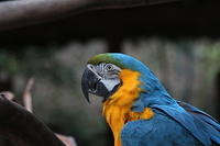 IMG_8679