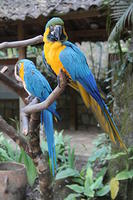 IMG_8682
