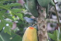 IMG_9093