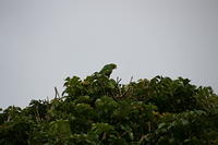 IMG_3067