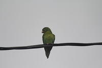 IMG_9084