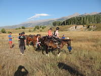 IMG_9068