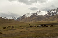IMG_0114
