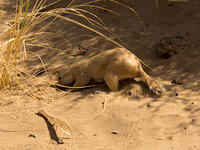 IMG_0907