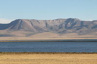 IMG_0007