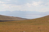 IMG_9949
