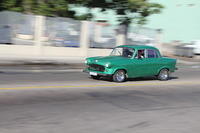 IMG_4317