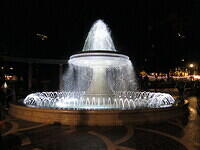 IMG 6919