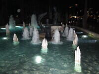 IMG 6923