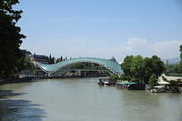 IMG 8318