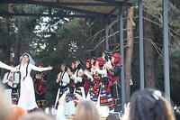 IMG 8694