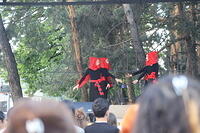 IMG 8701