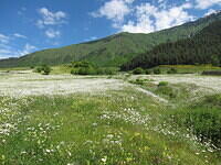 IMG 6954
