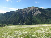 IMG 6955