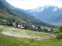 IMG 6956