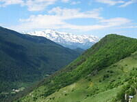 IMG 6958