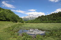 IMG 8706