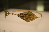 IMG 8442