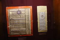 IMG 8618