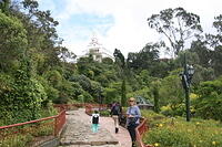 IMG 4332