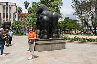 IMG 4309