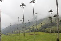 IMG 2864
