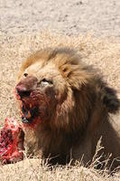 East Africa 2009