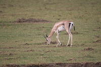 IMG_3867