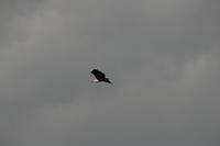 IMG_3722