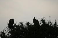 IMG_3876