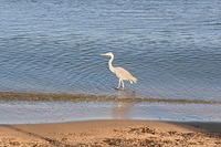 IMG_4187