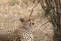 IMG_4043