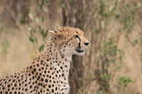 IMG_4059