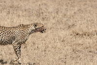 IMG_4505