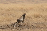 IMG_4518.JPG