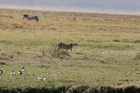 IMG_4658.JPG