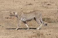 IMG_4674.JPG
