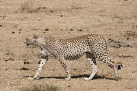 IMG_4675.JPG