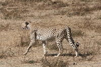 IMG_4676.JPG