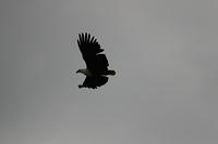 IMG_3607