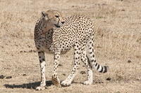IMG_4673