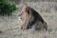 IMG_3886.JPG